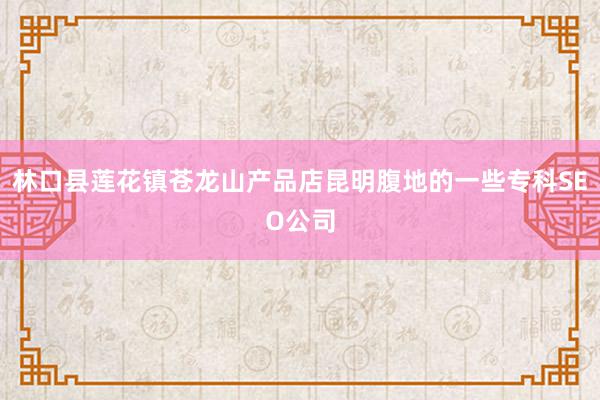 林口县莲花镇苍龙山产品店昆明腹地的一些专科SEO公司